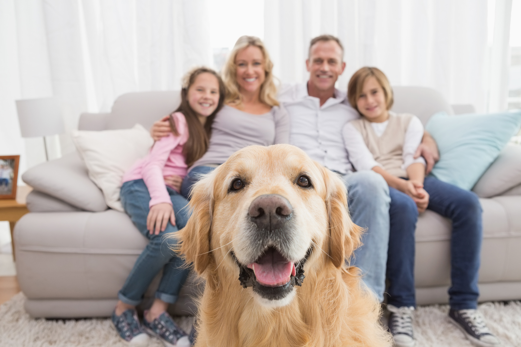 A dog sitting in-front of a family sitting on a sofa