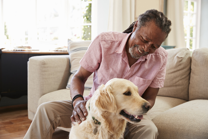 A man massaging his older dog in a living room