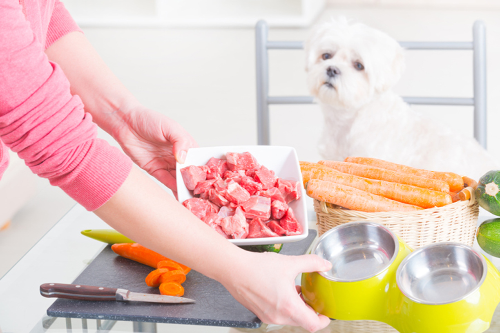 A person cutting vegetables and raw meat on a table holding a dog bowl as the dog sits watching