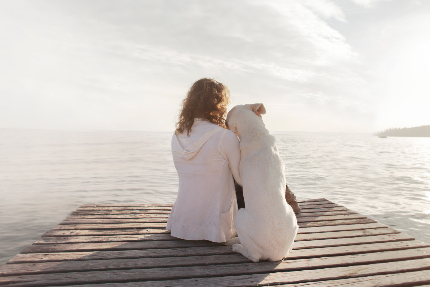 A woman sitting on a wooden jetti looking out to sea with her elderly dog leaning on her arm