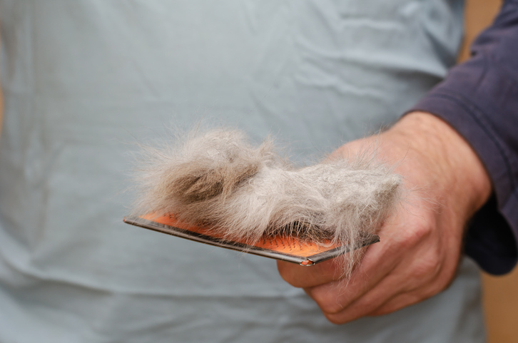 Matted Cat Fur