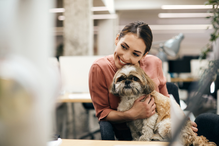 Office dog