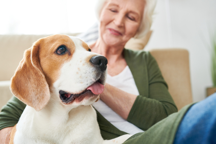 Dog and elderly owner