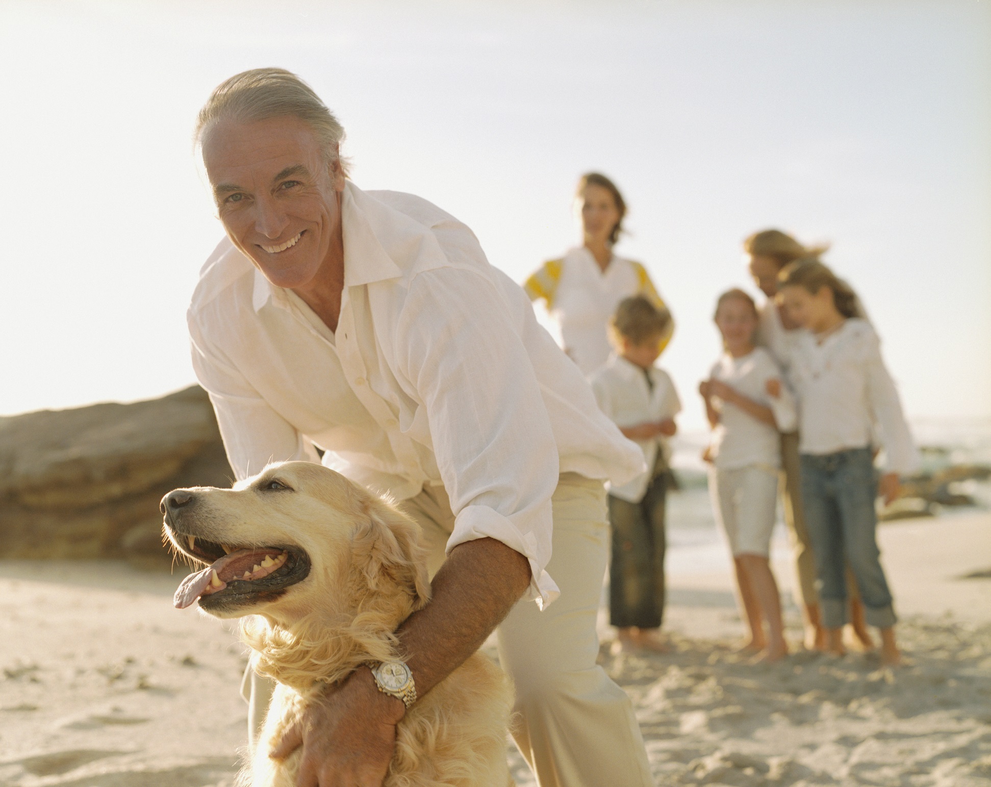 Dog on the beach