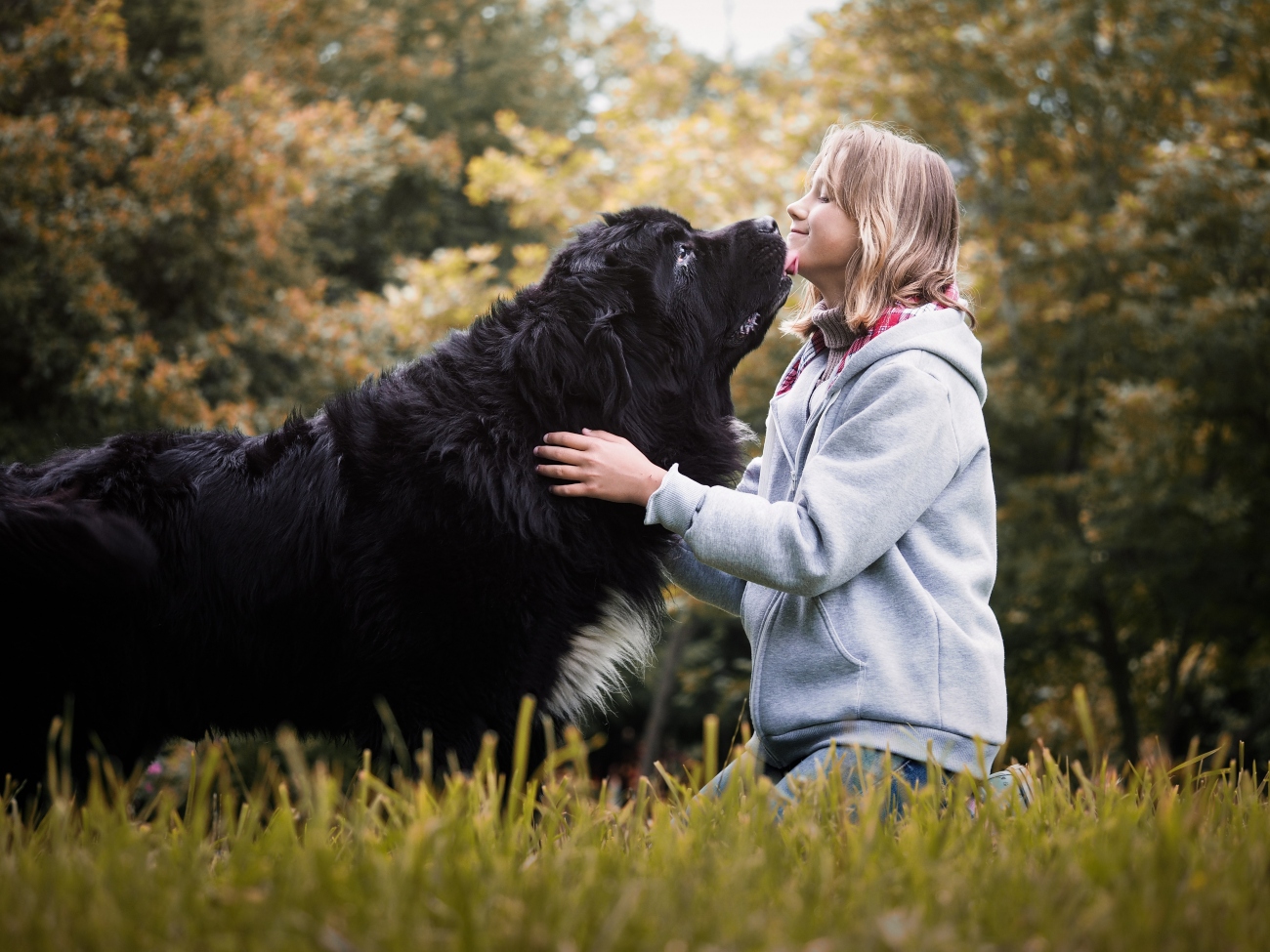 a big black dog kissing its owner