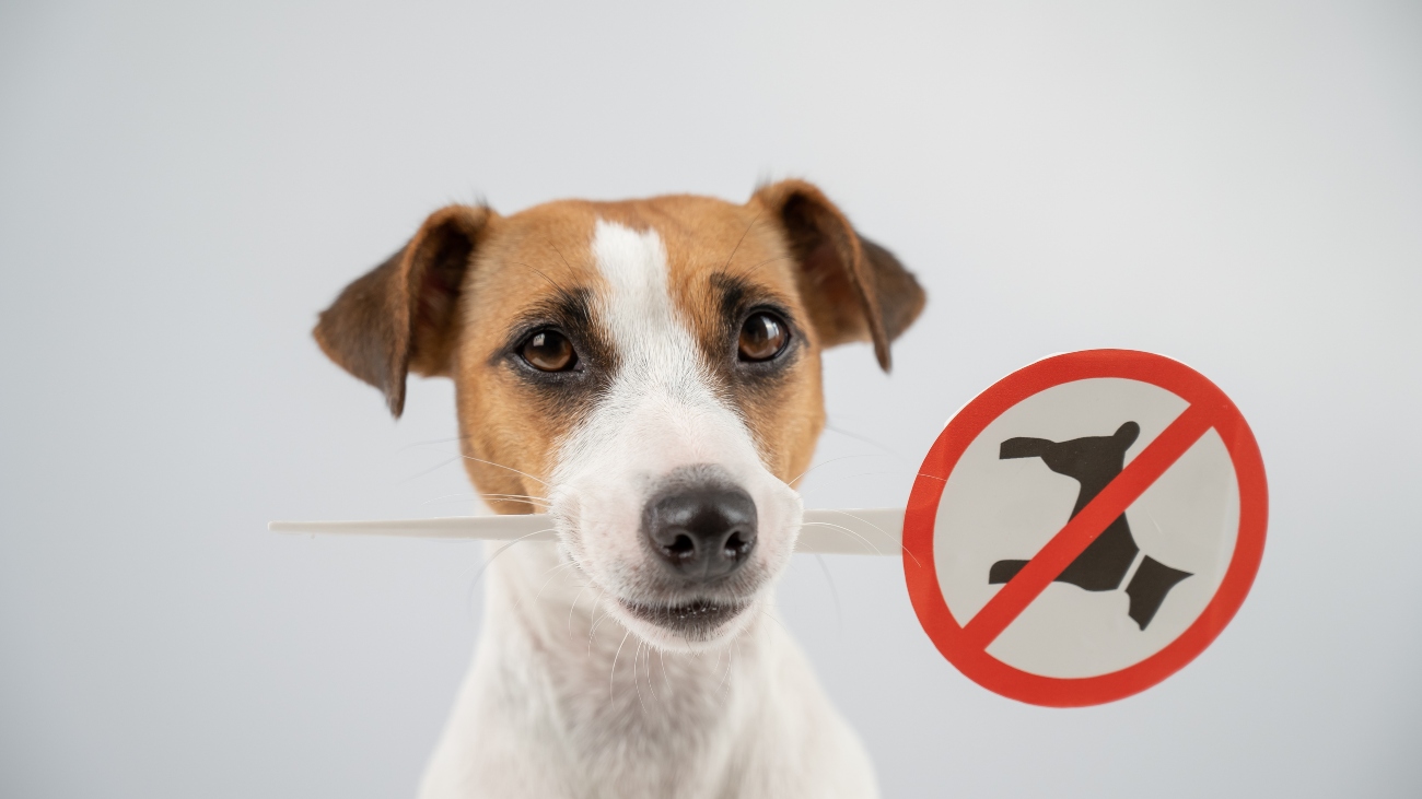 dog holding dog banned sign in its mouth