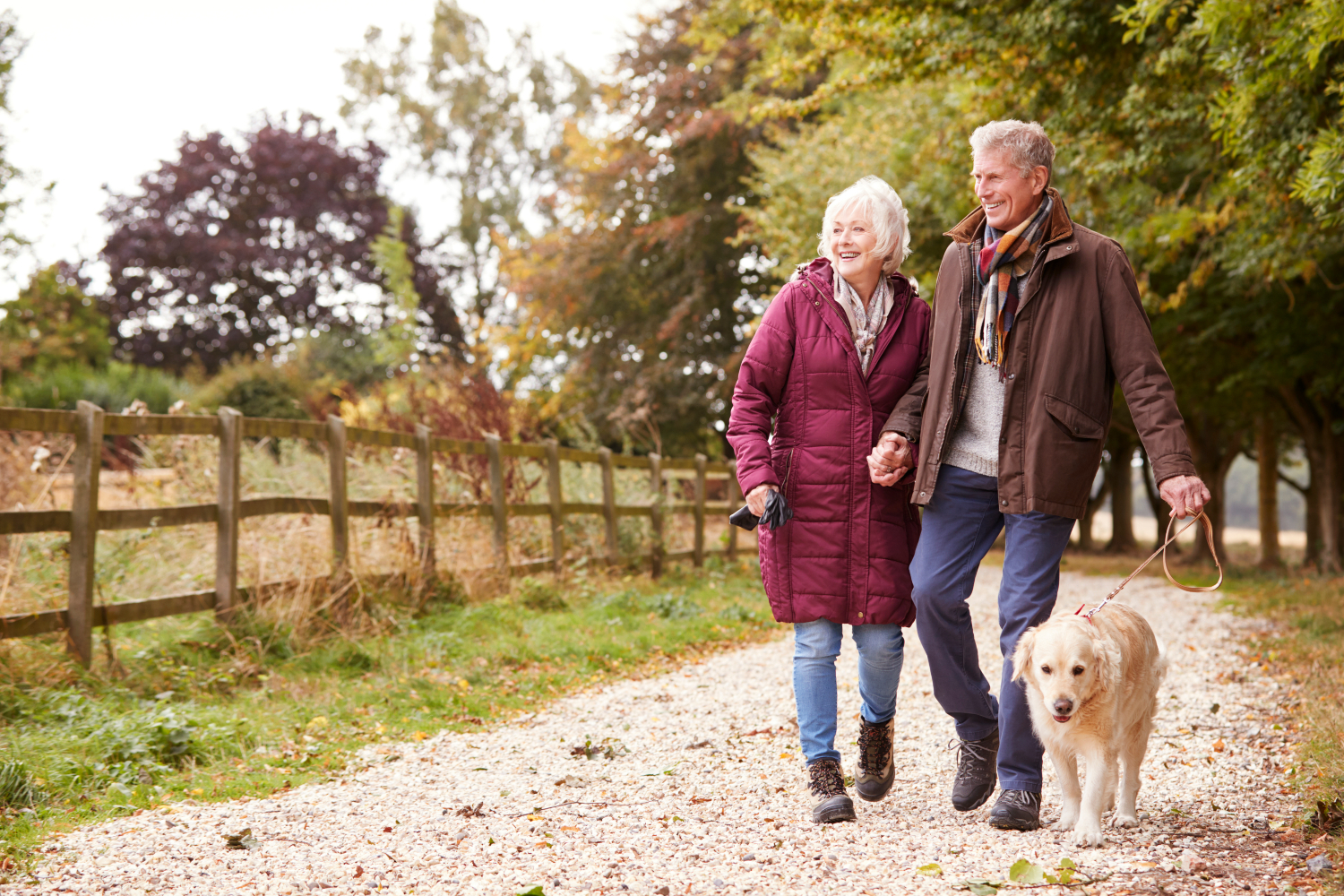 elderly couple walking with a dog