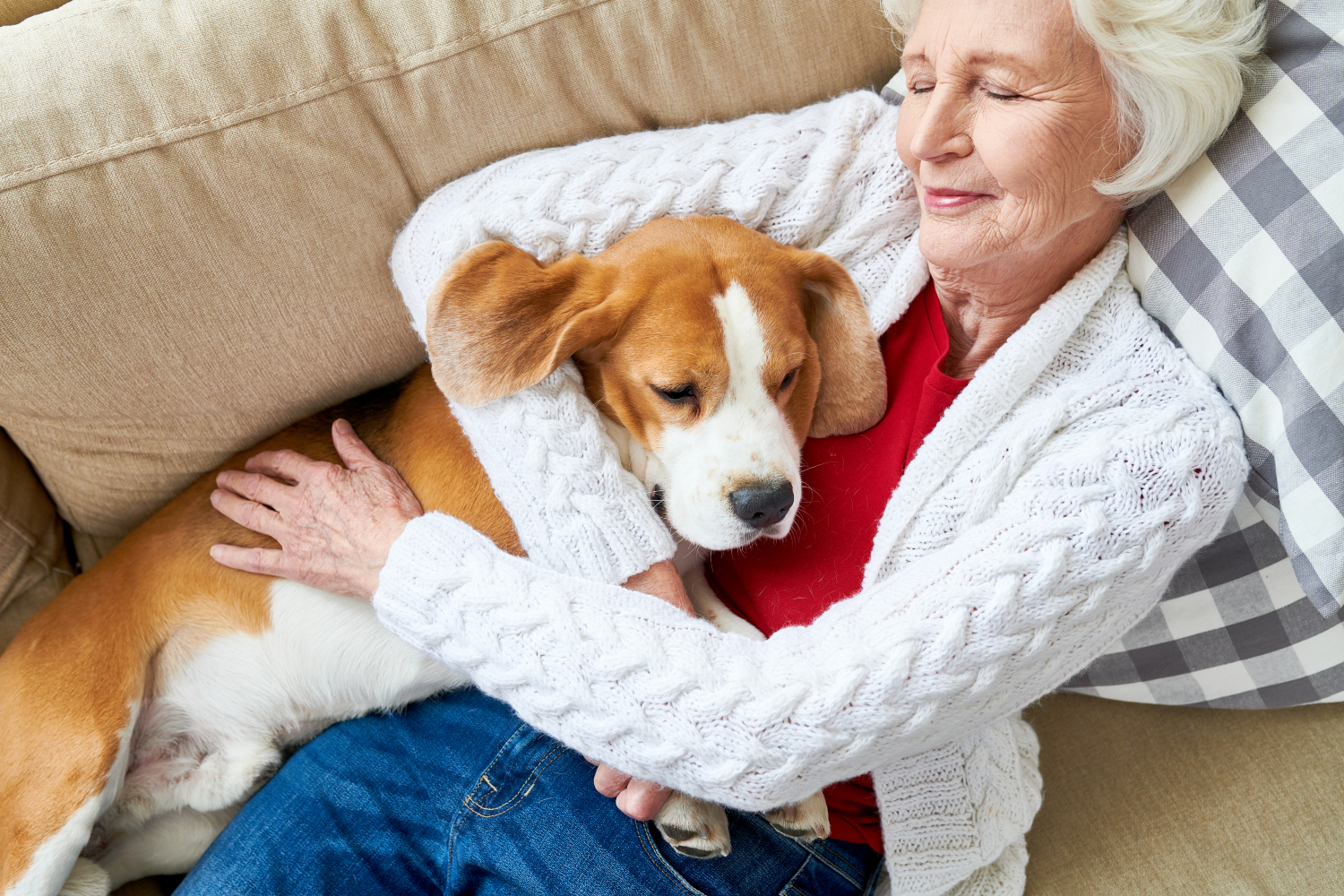 brown and white dog cuddling with older woman