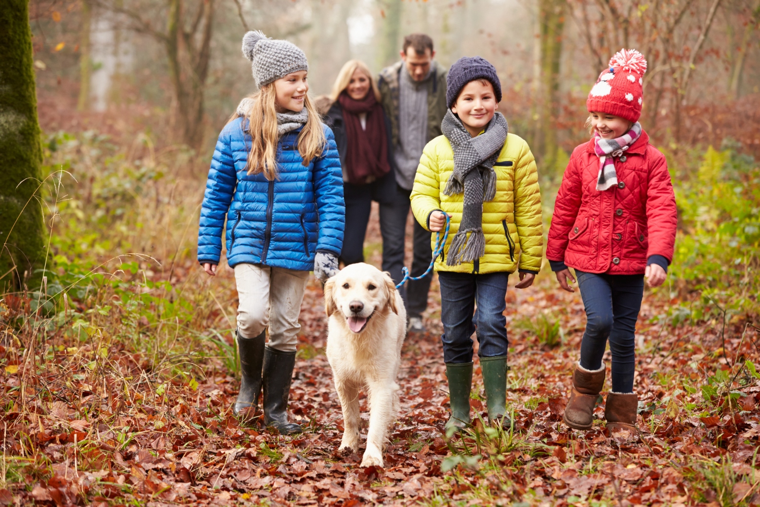 family taking dog on a walk