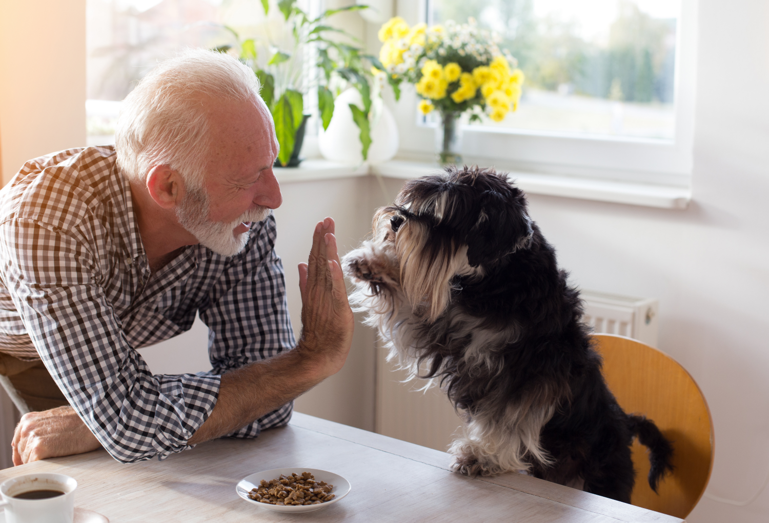 dog high fiving elderly man