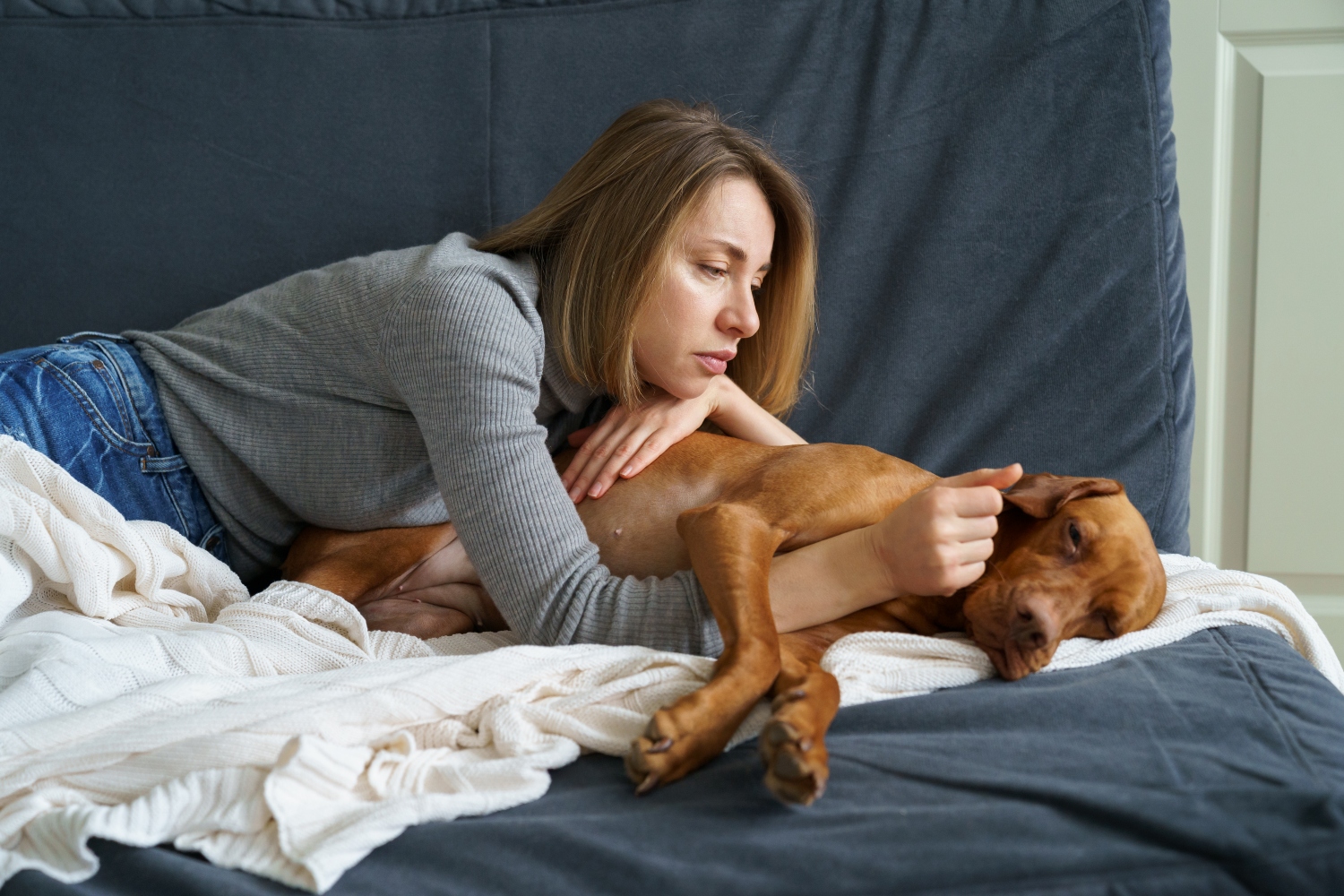 dog laying down with owner