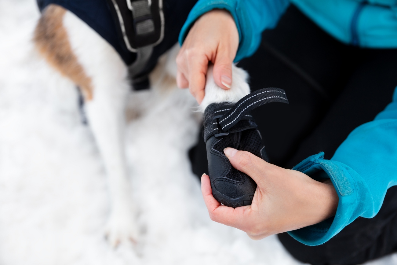 putting a glove on a paw